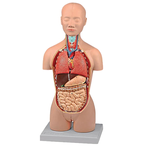 LoadImage